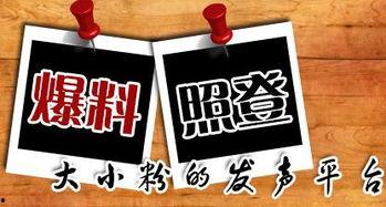 爆料潮汕新闻,揭秘潮汕地区最新爆料事件 第1张 爆料潮汕新闻,揭秘潮汕地区最新爆料事件 第1张