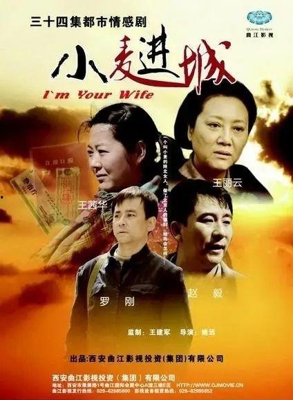 小麦进城电视剧全集在线观看,农村女孩的奋斗与蜕变之路